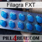 Filagra FXT viagra1